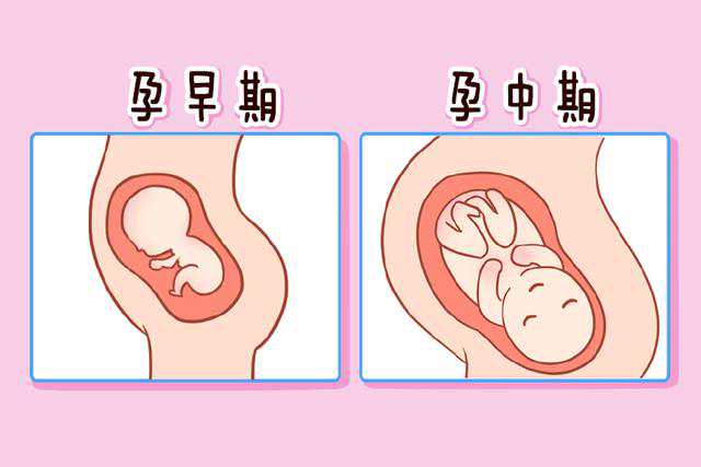 成都代孕中心安全吗，成都供卵代怀