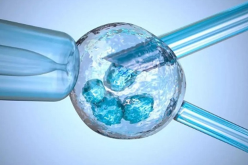 镇江最可靠代怀-镇江代怀金陵生子网的背景