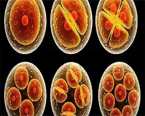 Rh阴性血A型血对怀孕有什么影响呢？看看这些因素！