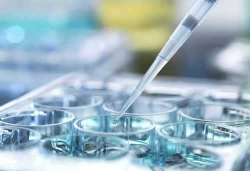 四川代怀孕在哪，四川供精供卵：四川哪里有供卵