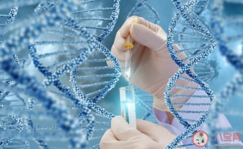 国内失独家庭做试管有补助