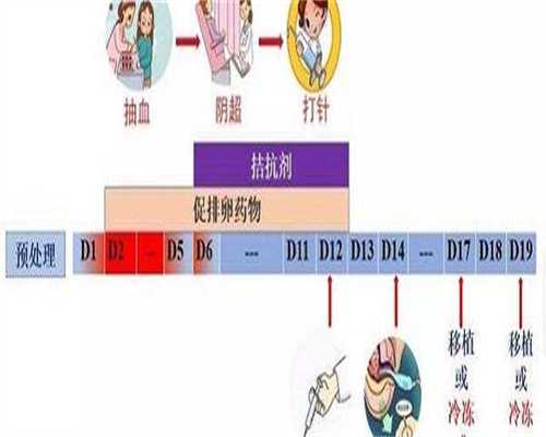 得了附件炎吃什么好