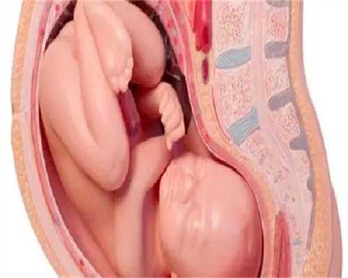 镇江代生供卵费用-镇江代生的背景介绍