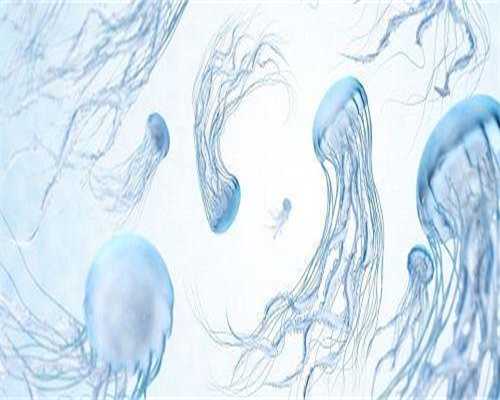 无精症睾丸穿刺取精试管成功率高不高！无精症要做睾丸穿刺吗！