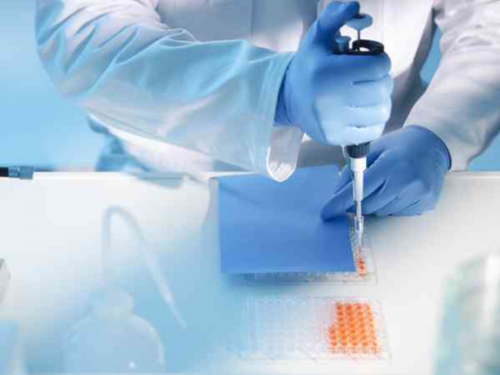 代孕产子机构包成功,子宫内膜异位试管不着床怎么办成功率多少？要不要10万！