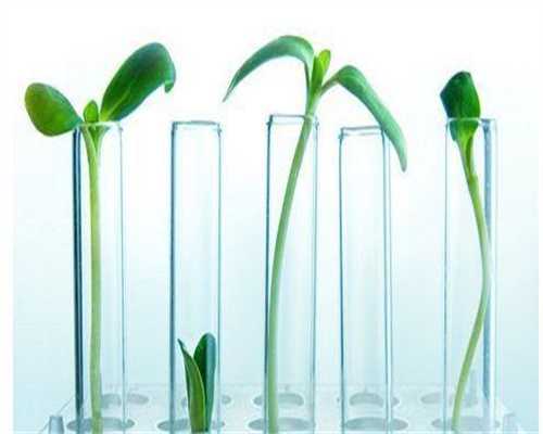 镇江怎么加代孕群-镇江做代孕医院的选择