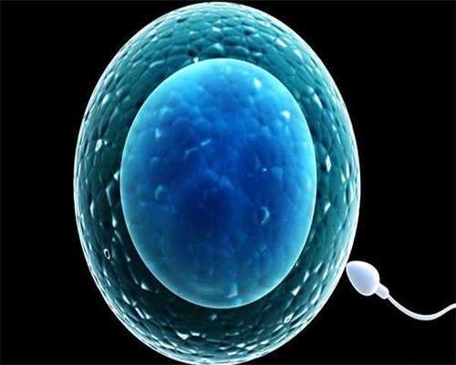 合法的北京供卵中心，北京家圆医院供卵费用