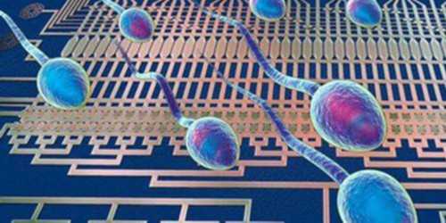 镇江代生婴儿，镇江代生