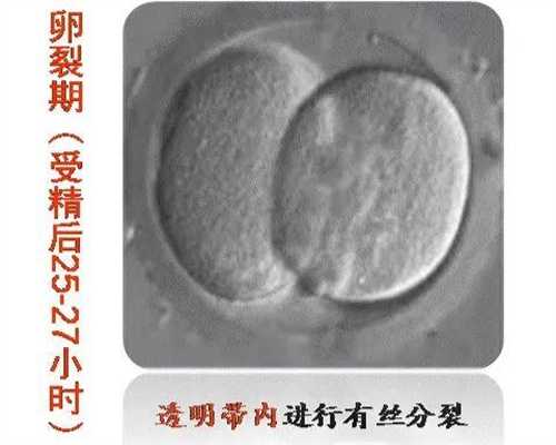 试管婴儿促排卵对女性的伤害，促排卵对身体伤害大不大？