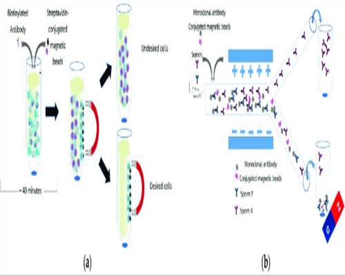 镇江供卵包男孩机构-镇江试管供卵机构有哪些