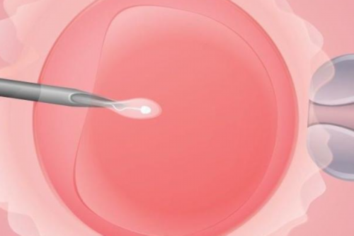 镇江医院有供卵的吗-镇江供卵中介公司有哪些？