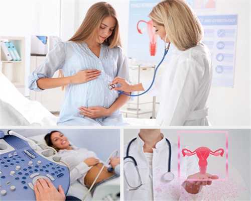 染色体核型分析多少钱(染色体核型分析是什么)