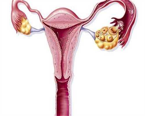 提高试管着床的秘诀：试管移植怎样提高着床率？