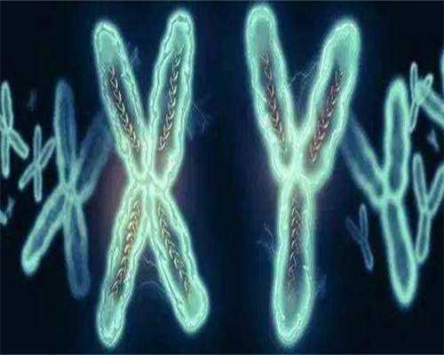 镇江代生费用，镇江代生