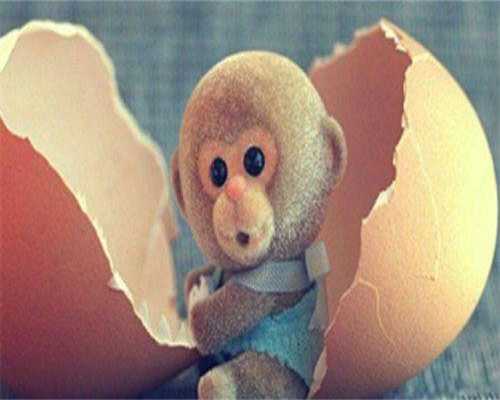 镇江代怀费用及明细（50万包成功套餐）