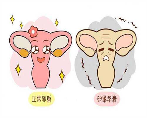 镇江找供卵试管联系电话多少