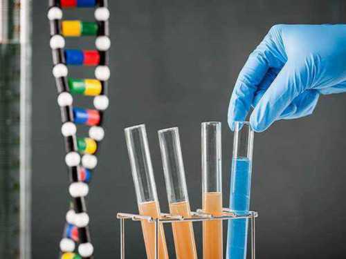 卵巢早衰可以移植吗