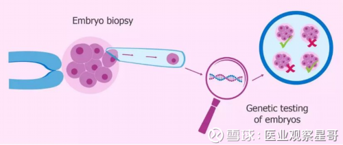 四川助孕代生价格多少