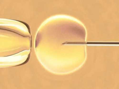 供卵自怀三胎-卵巢受损可以做试管移植吗？卵巢受损会影响生育吗？