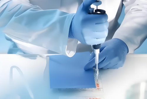 供卵公司:鲜胚移植11天后没着床胚胎还在子宫里面吗？