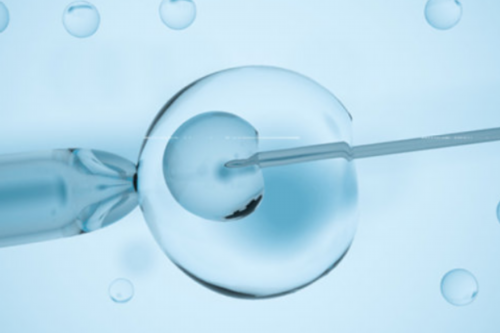 试管供卵会影响唐筛结果吗（为什么试管做唐筛不准）