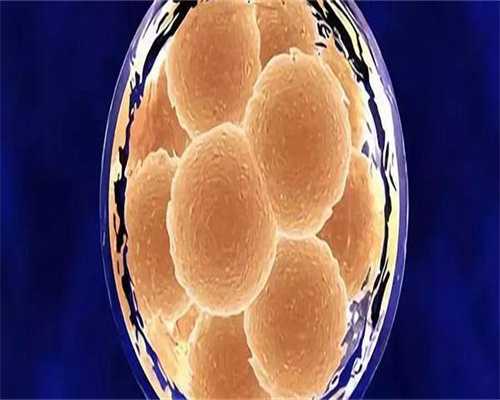 镇江代怀产子费用-镇江代怀孕公司的背景介绍