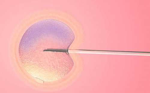 试管婴儿怎样生男孩准确率高