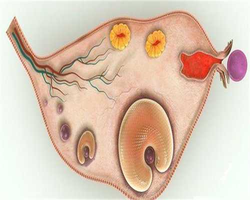 孕早期胎停的原因