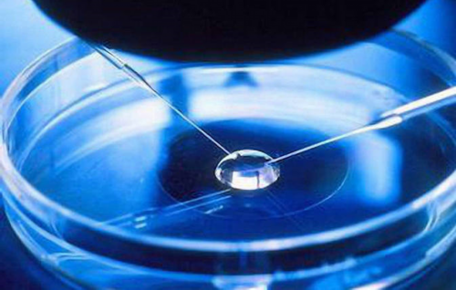 代孕助孕宝宝_包成功代孕哪家靠谱,宝宝脸上过敏起红疹怎么办