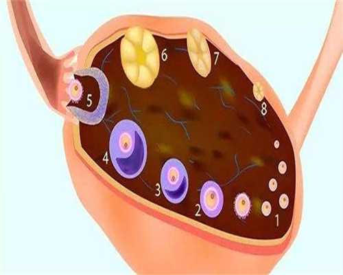 四川供卵民营机构，2026四川哪些医院可以供卵，最新不排队机构名单