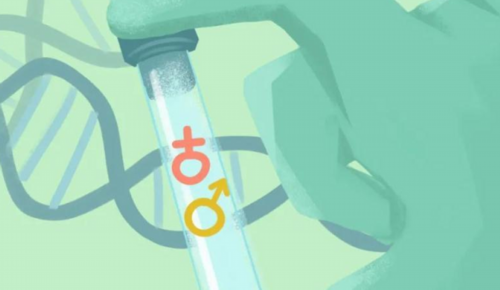 镇江借卵做试管费用（18年成功生子经验）