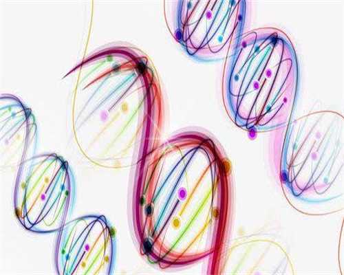 镇江代生公司电话,荷兰爸爸乐于育儿