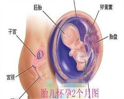 镇江供卵试管医院-镇江供卵试管医院介绍