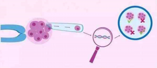 镇江代生哪家便宜，镇江春熙路