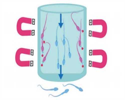 抗精子抗体会怀孕吗！抗精子抗体会阻挠精卵相遇