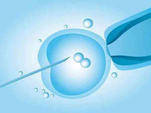 镇江供卵代孕价格-镇江代孕机构联系方式