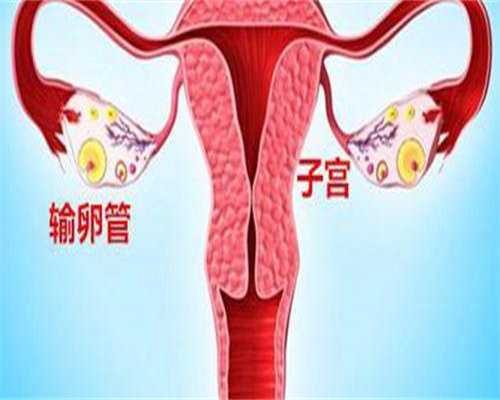 镇江第三方辅助生殖-镇江市生殖医院