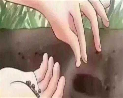 镇江供卵供卵代怀多少钱