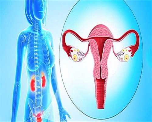 代孕零风险包成功,移植胚胎后感觉 胚胎移植到子宫痛不痛