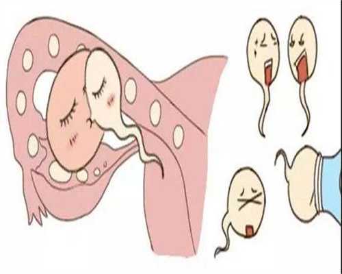 四川正规代生机构，2026四川试管三代生男孩医院排名，附助孕机构名单