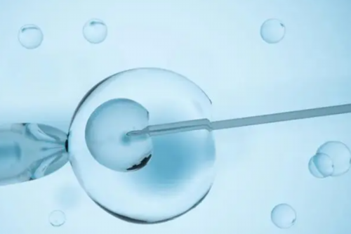 镇江供卵试管靠谱公司（包性别包成功）