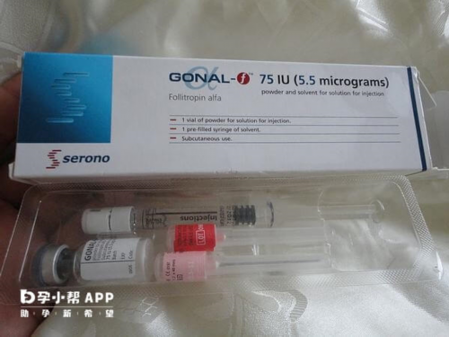 囊胚成功率高容易胎停是真的吗？