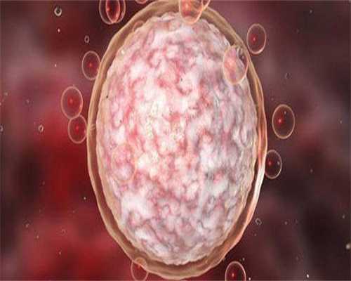 镇江借卵试管怎么做（15年成功供卵试管经验）