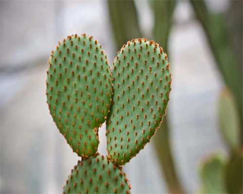 镇江助孕个人电话号码,镇江做试管的费用大概是多少呢