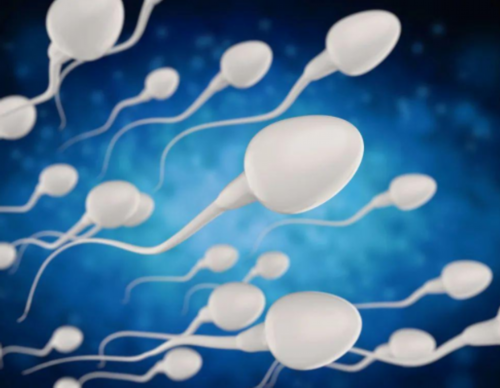 三代供卵供卵试管-不孕女性有15个卵泡可以提高三代试管婴儿成功率吗？