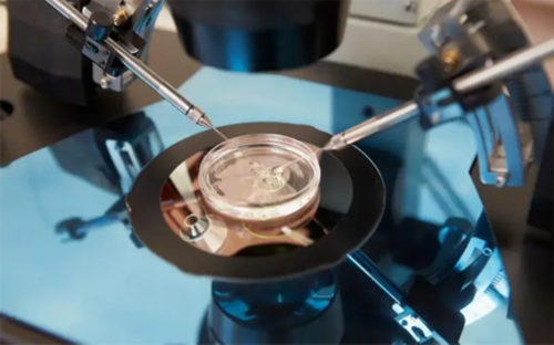 包男孩镇江助孕网，镇江试管助孕生子