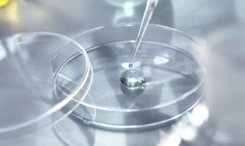 失独父母住院报销规定