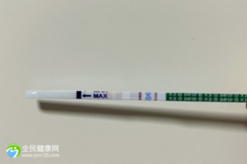 网传试管移植三个月内不能吃苹果是真的吗？试管能不能吃苹果？