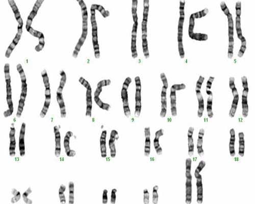 镇江有供卵试管么，镇江试管供卵公司（镇江供卵试管多少钱）