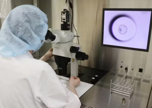 镇江包成功代孕地址，镇江代育桐